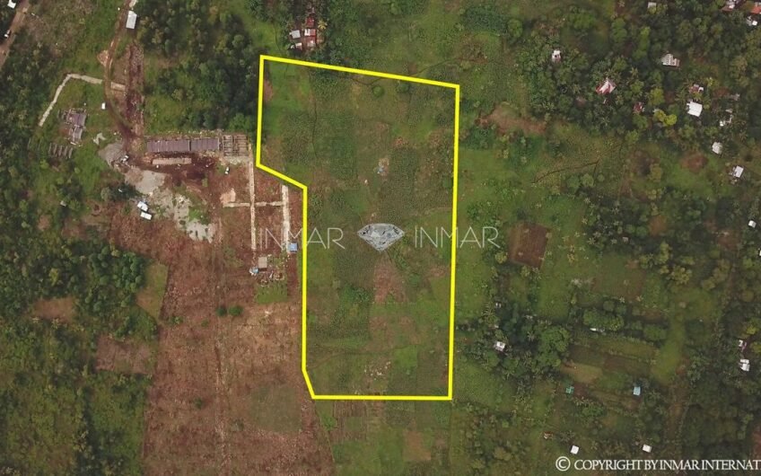 7 Lots with Reduced Prices in Camotes Island