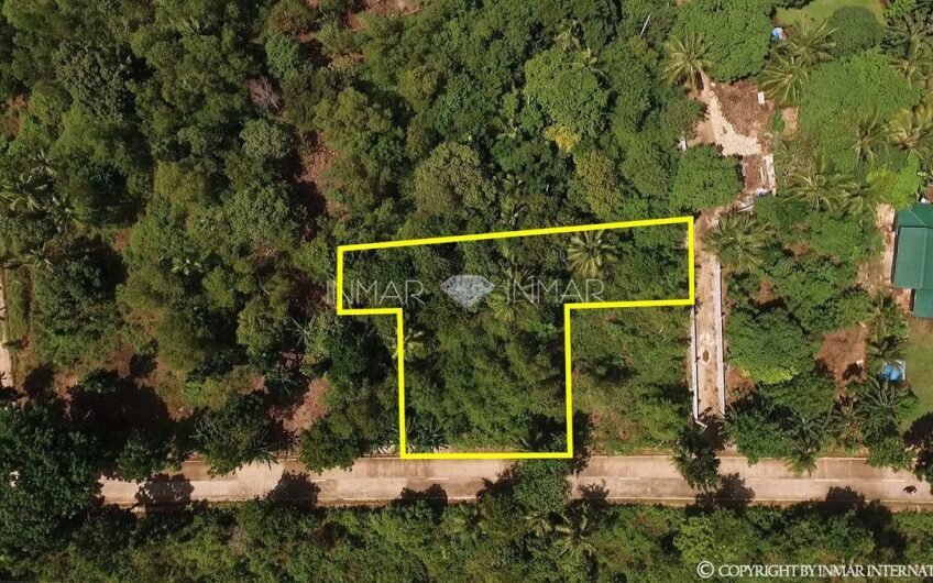 7 Lots with Reduced Prices in Camotes Island