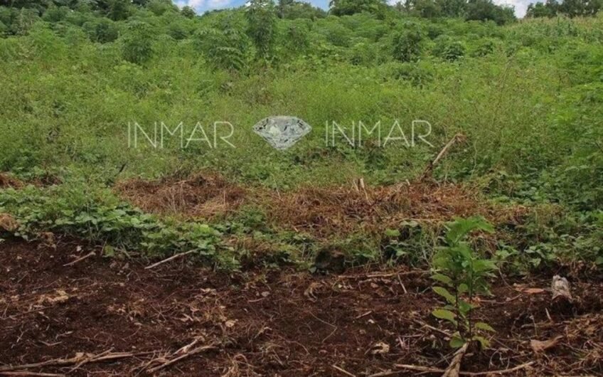 7 REDUCED PROPERTY PRICES IN CAMOTES