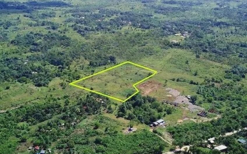 7 REDUCED PROPERTY PRICES IN CAMOTES