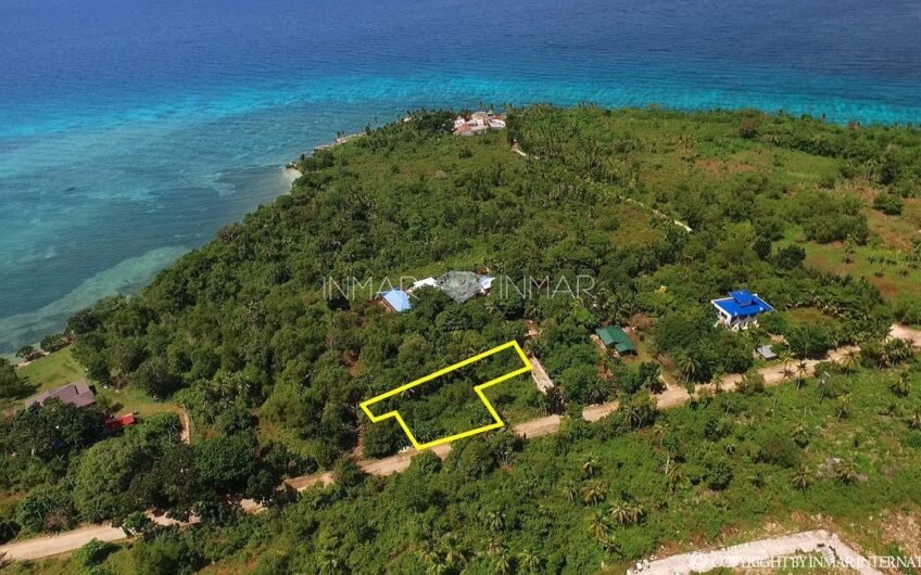 7 Lots with Reduced Prices in Camotes Island