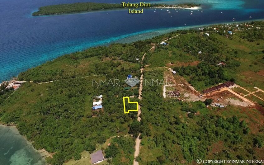 7 Lots with Reduced Prices in Camotes Island