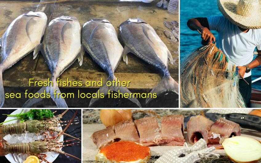 7 REDUCED PROPERTY PRICES IN CAMOTES