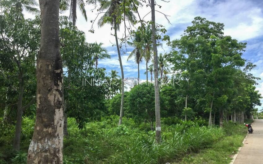 7 Lots with Reduced Prices in Camotes Island