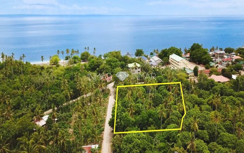 7 Lots with Reduced Prices in Camotes Island