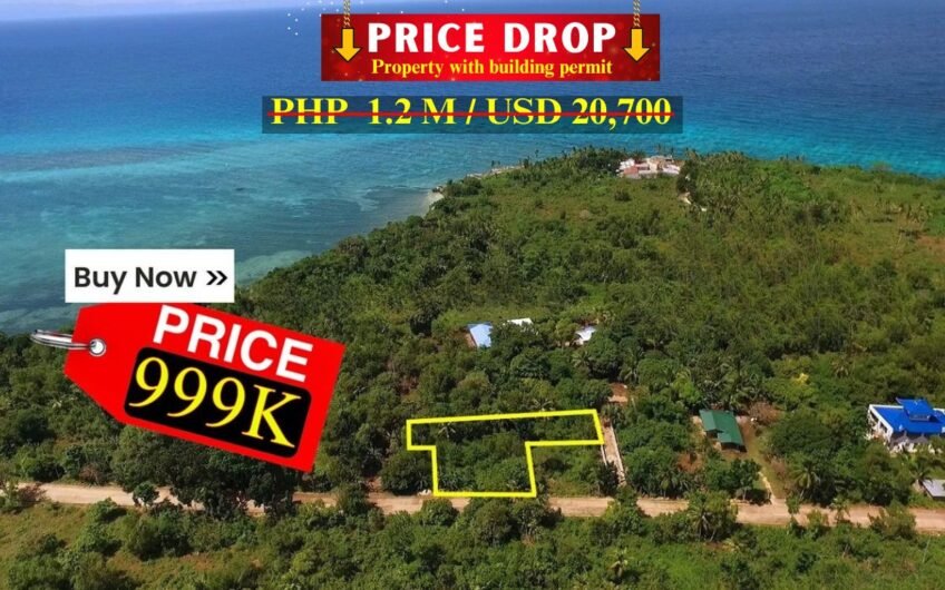 7 Lots with Reduced Prices in Camotes Island