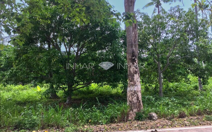 7 Lots with Reduced Prices in Camotes Island