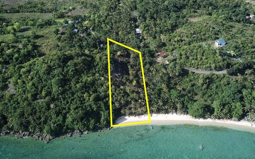 7 Lots with Reduced Prices in Camotes Island