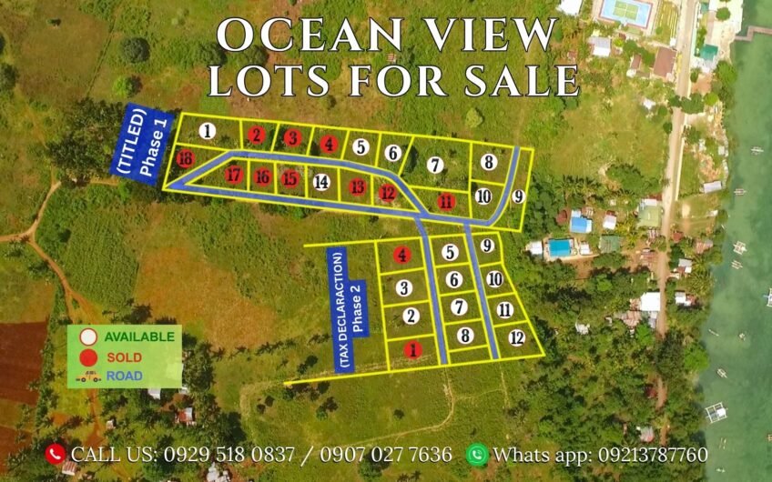 Titled Subdivided Oceanview Lots in Camotes Island Cebu