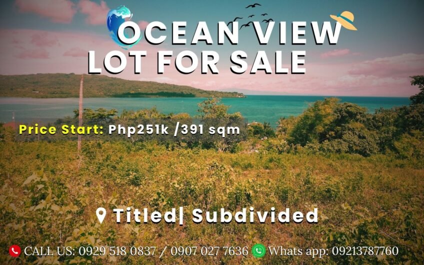 Titled Subdivided Oceanview Lots in Camotes Island Cebu