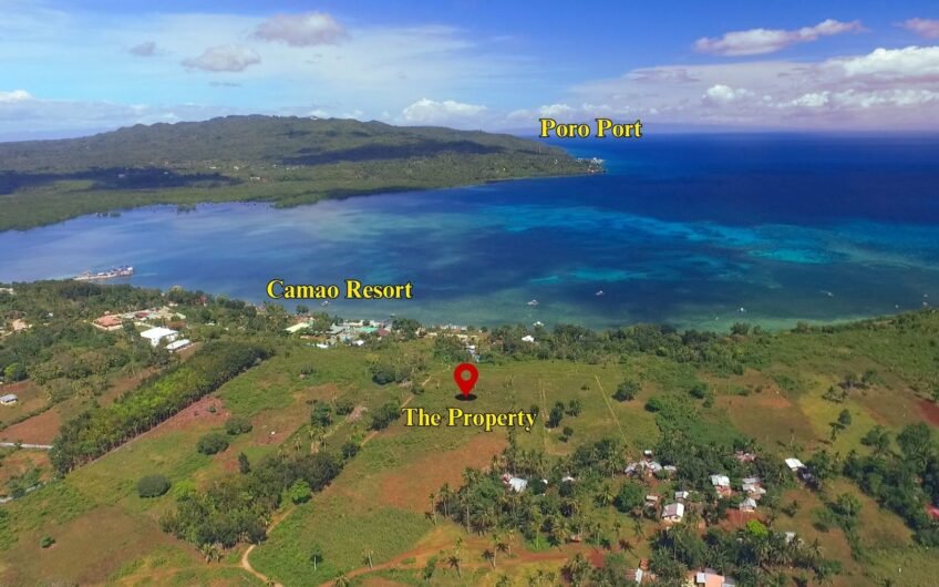 Titled Subdivided Oceanview Lots in Camotes Island Cebu