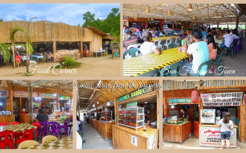 Titled Subdivided Oceanview Lots in Camotes Island Cebu