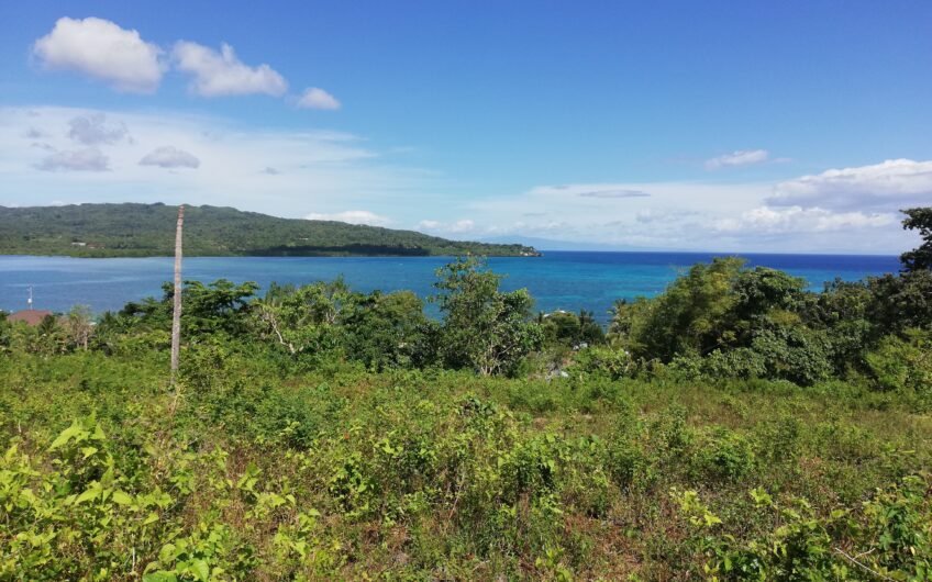 Titled Subdivided Oceanview Lots in Camotes Island Cebu
