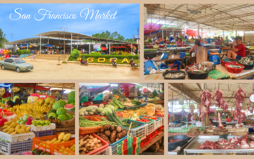 Titled Subdivided Oceanview Lots in Camotes Island Cebu