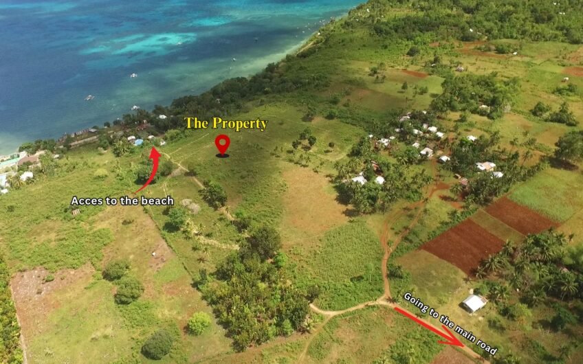 Titled Subdivided Oceanview Lots in Camotes Island Cebu