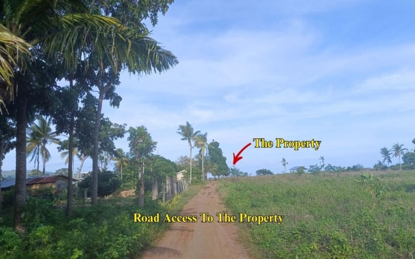 Titled Subdivided Oceanview Lots in Camotes Island Cebu