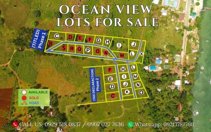 Titled Subdivided Oceanview Lots in Camotes Island Cebu