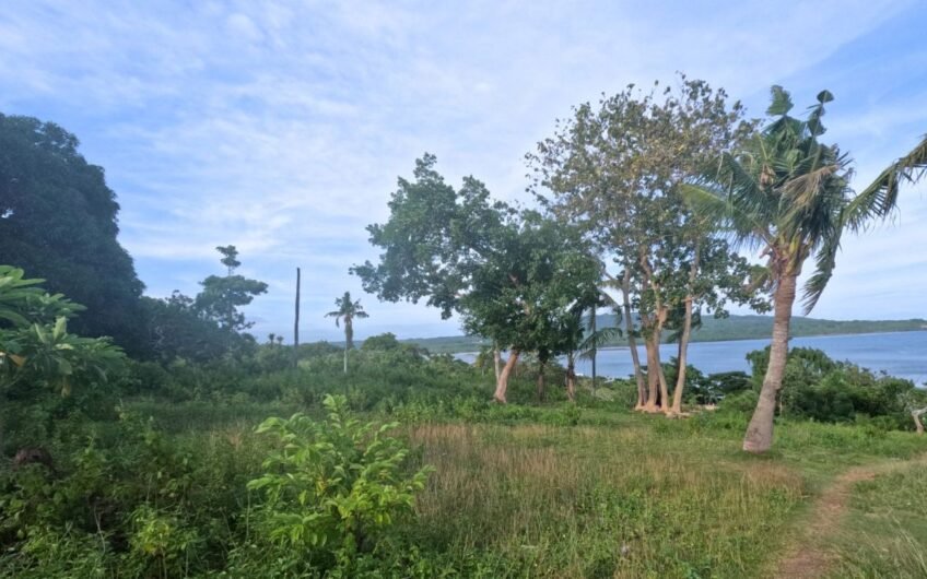 Titled Subdivided Oceanview Lots in Camotes Island Cebu