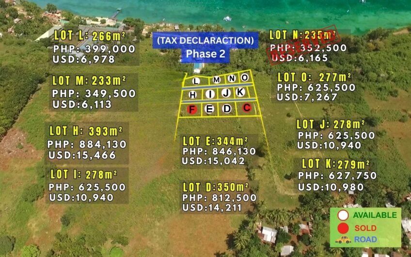 Titled Subdivided Oceanview Lots in Camotes Island Cebu