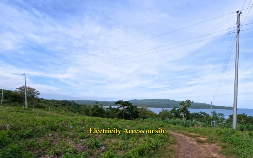 Titled Subdivided Oceanview Lots in Camotes Island Cebu