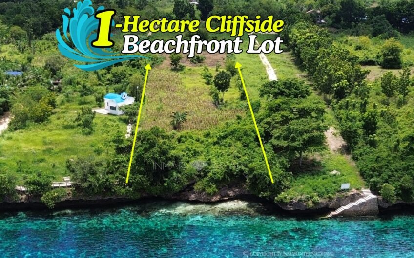 1-Hectare cliffside beachfront lot