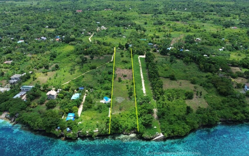 1-Hectare cliffside beachfront lot