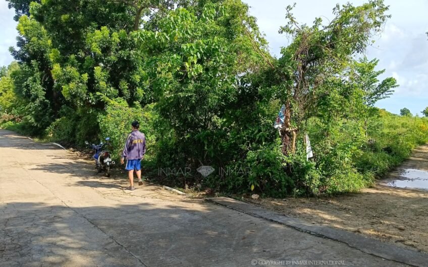1-Hectare cliffside beachfront lot