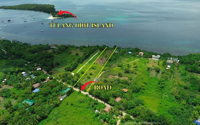 1-Hectare cliffside beachfront lot