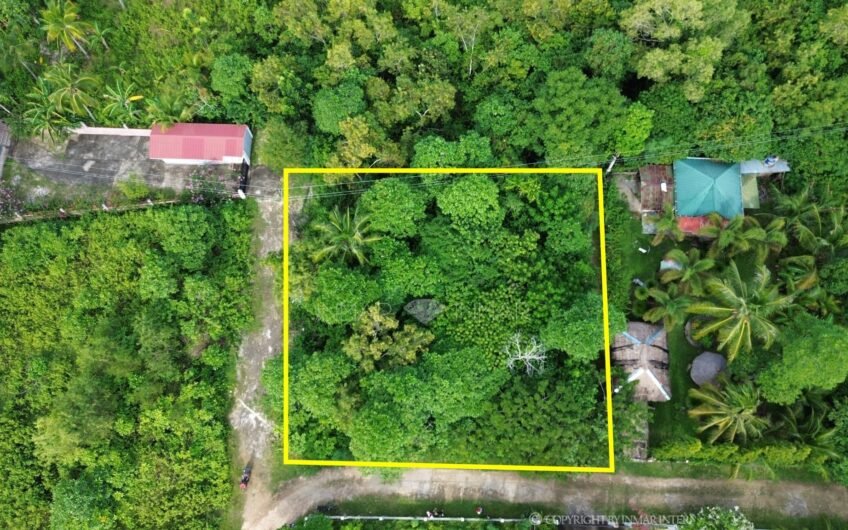 Residential Lot for Sale Peaceful Location Near the Sea