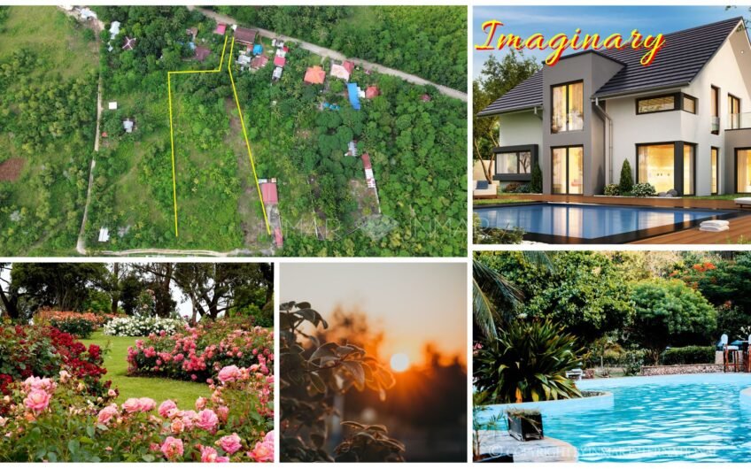 6,000 Sqm Lot Near The Beach