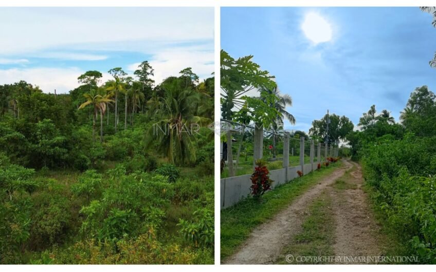 6,000 Sqm Lot Near The Beach