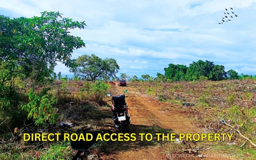 69,000 m² Oceanview Lot