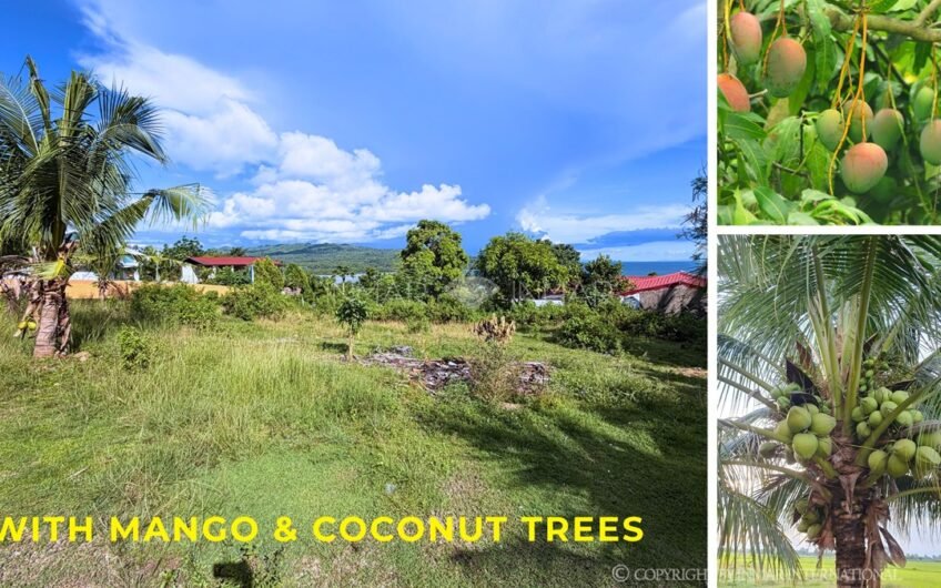 STUNNING SUNRISE LOT FOR SALE