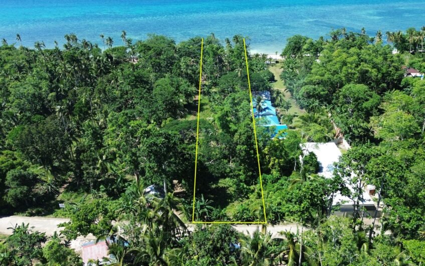 3,978 Sqm White Sand Beach