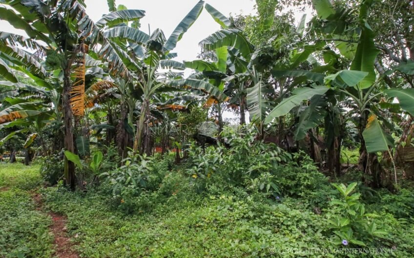 2 Bedroom House Near the Beach