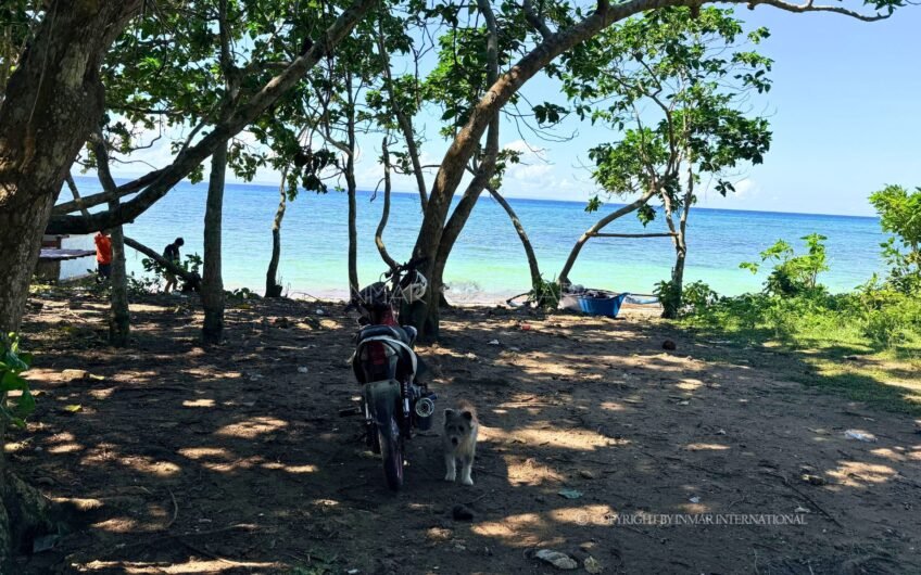 3,978 Sqm White Sand Beach