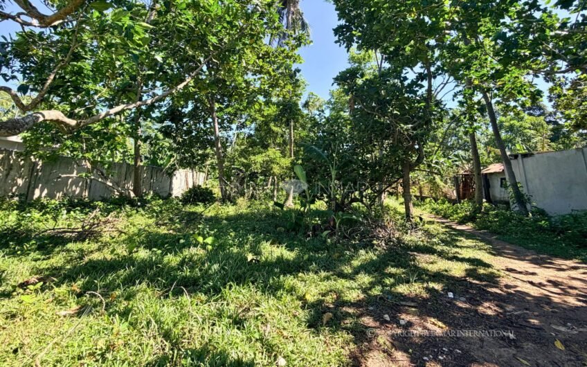 3,978 Sqm White Sand Beach