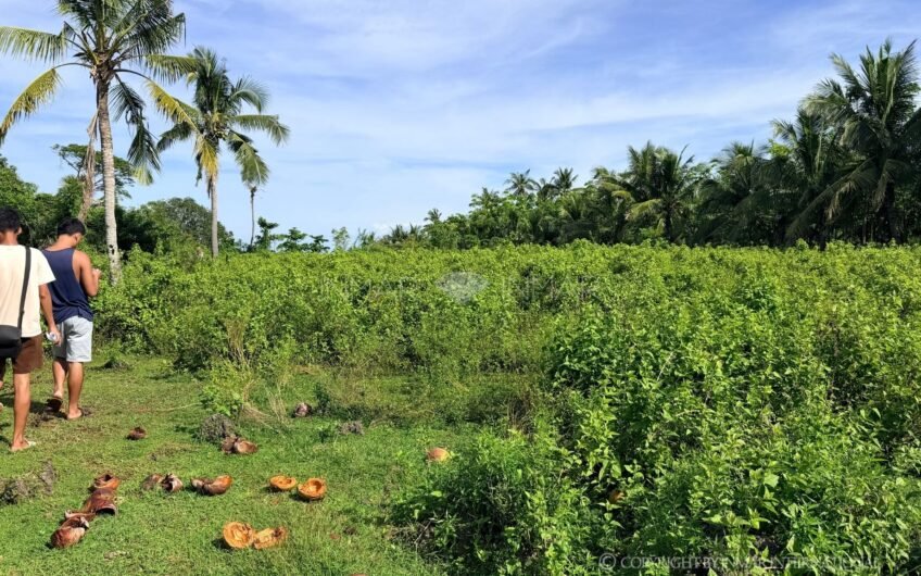 Cliffside Lot With Panoramic Seaview