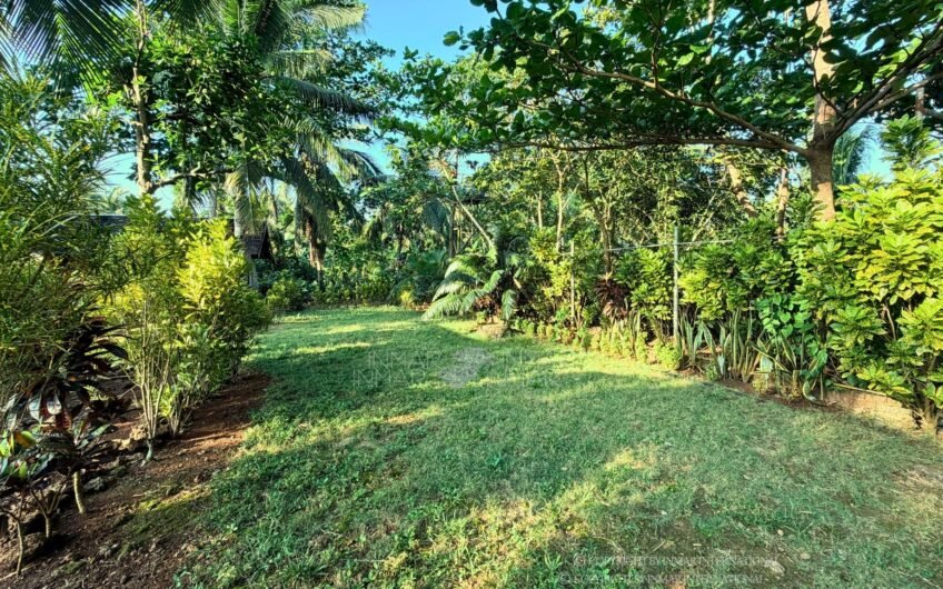 3,125 Sqm Lot With Natural Cave