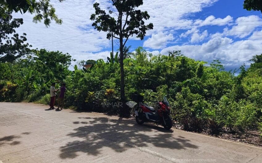 2,310 SQM Lot Near Tulang Diot Beach Area