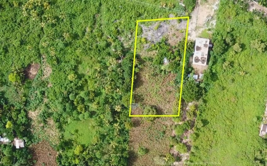 2,310 SQM Lot Near Tulang Diot Beach Area