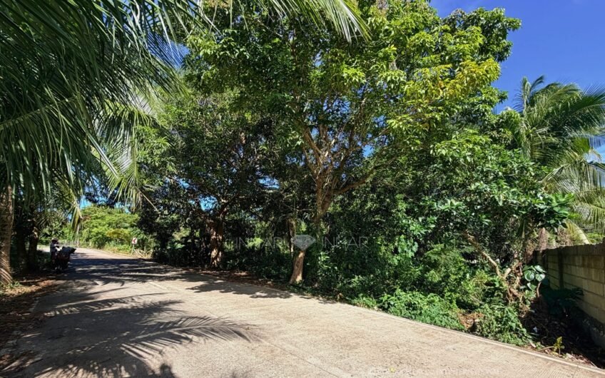 Top 5 Afffordable Beach Properties