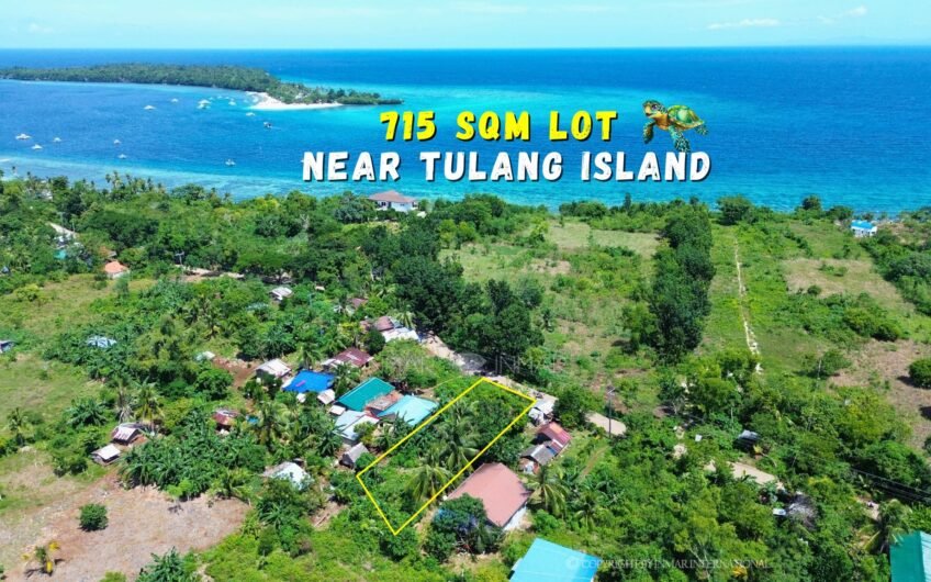 715 SQM ROADSIDE LOT NEAR THE TULANG DIOT ISLAND