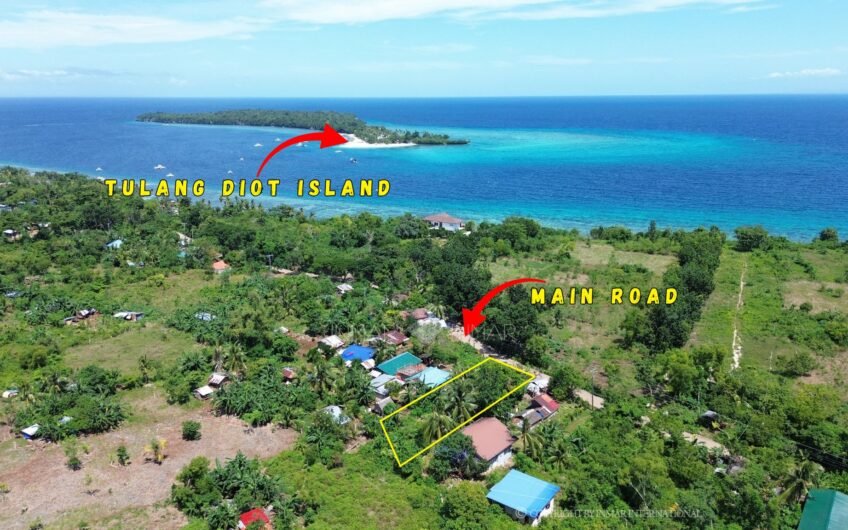 715 SQM ROADSIDE LOT NEAR THE TULANG DIOT ISLAND
