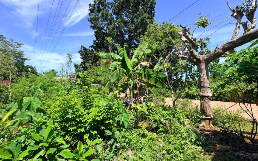 715 SQM ROADSIDE LOT NEAR THE TULANG DIOT ISLAND