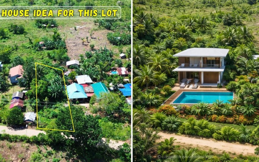 715 SQM ROADSIDE LOT NEAR THE TULANG DIOT ISLAND