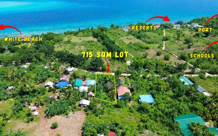 715 SQM ROADSIDE LOT NEAR THE TULANG DIOT ISLAND