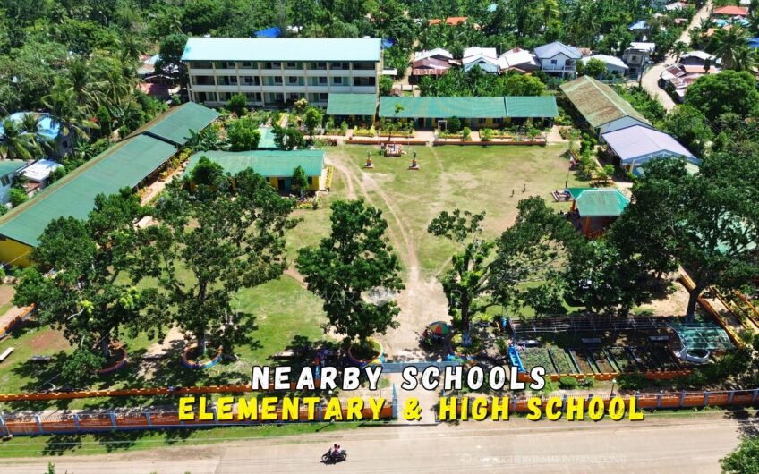 715 SQM ROADSIDE LOT NEAR THE TULANG DIOT ISLAND