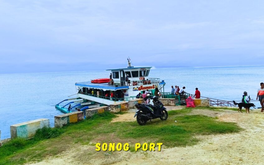 715 SQM ROADSIDE LOT NEAR THE TULANG DIOT ISLAND