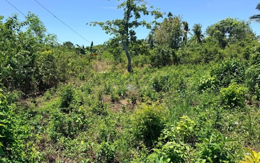 Affordable Lot for Sale along the Road